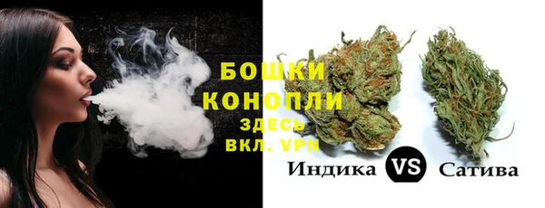 мдпв Кодинск