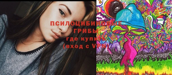 экстази Козельск
