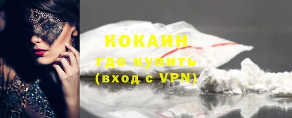 мдпв Кодинск