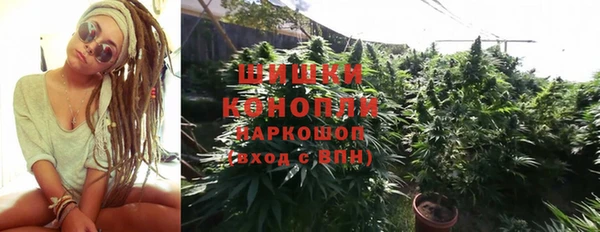 мдпв Кодинск