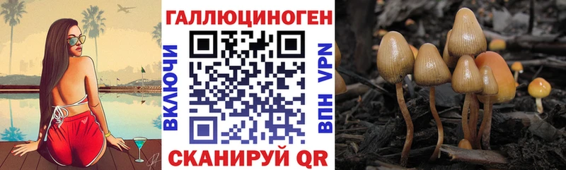 Псилоцибиновые грибы Psilocybine cubensis  Купить закладки  Заполярный 